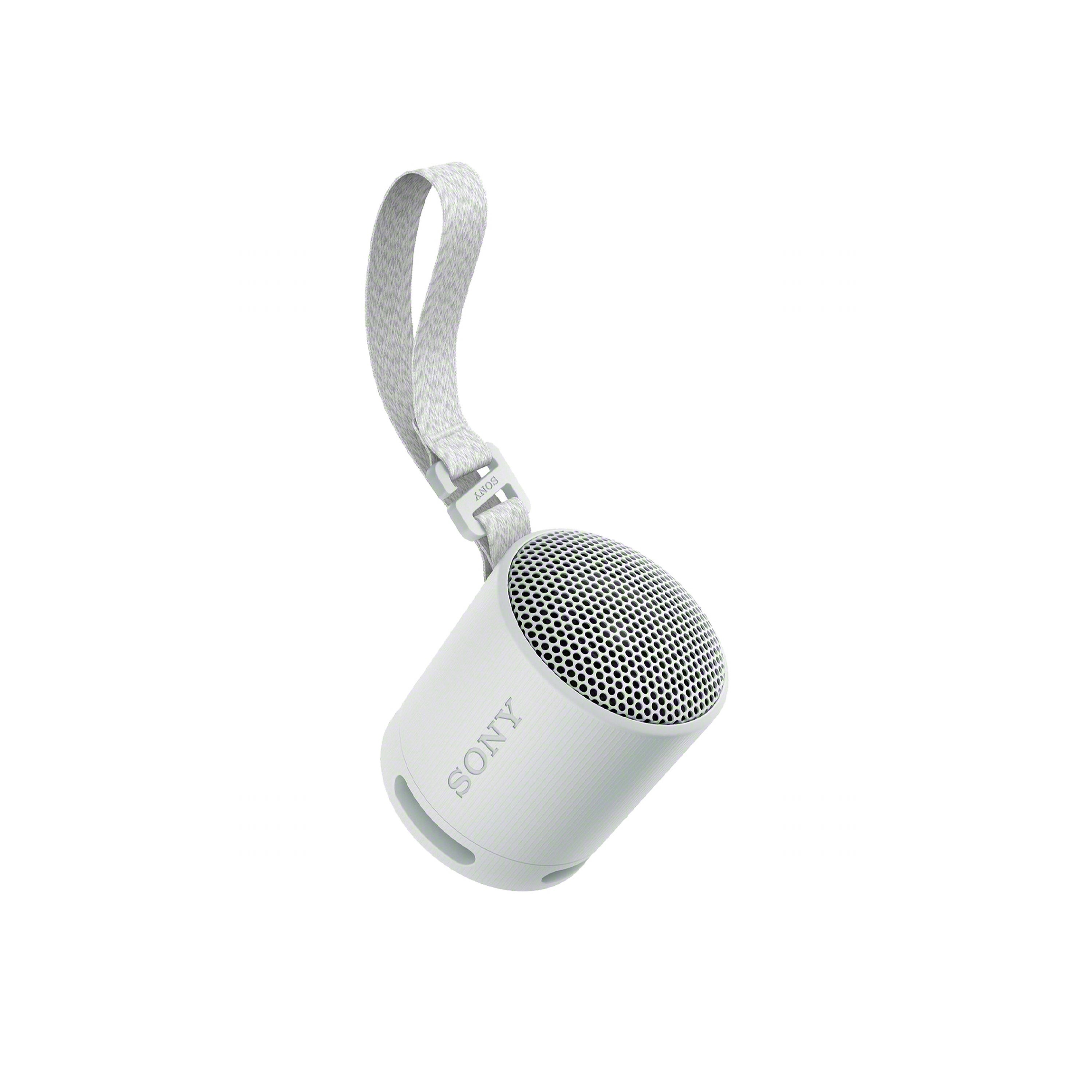 XB100 Compact Bluetooth Wireless Speaker Gray