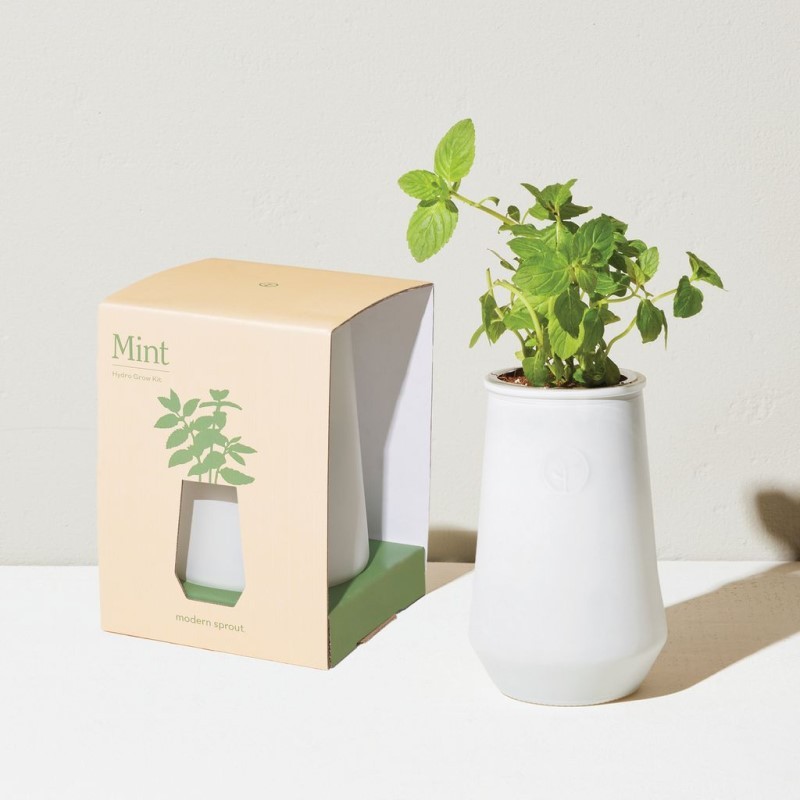 Tapered Tumbler Hydroponic Grow Kit - (Mint)