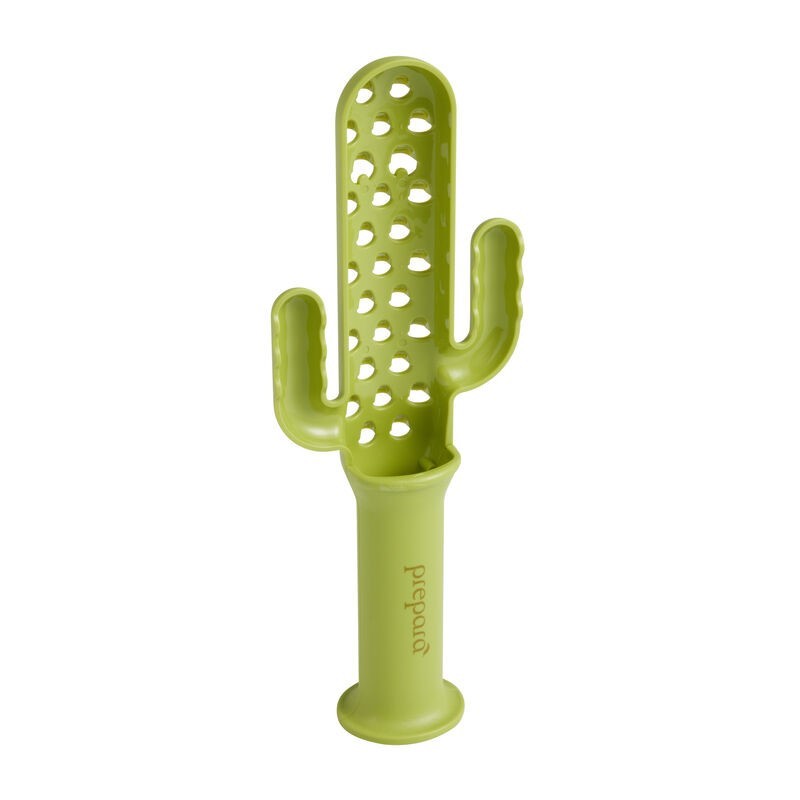 Cactus Cheese Grater