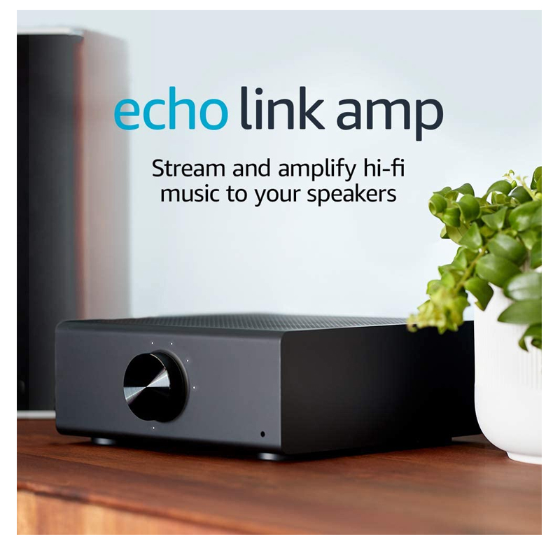 Echo Link Amp