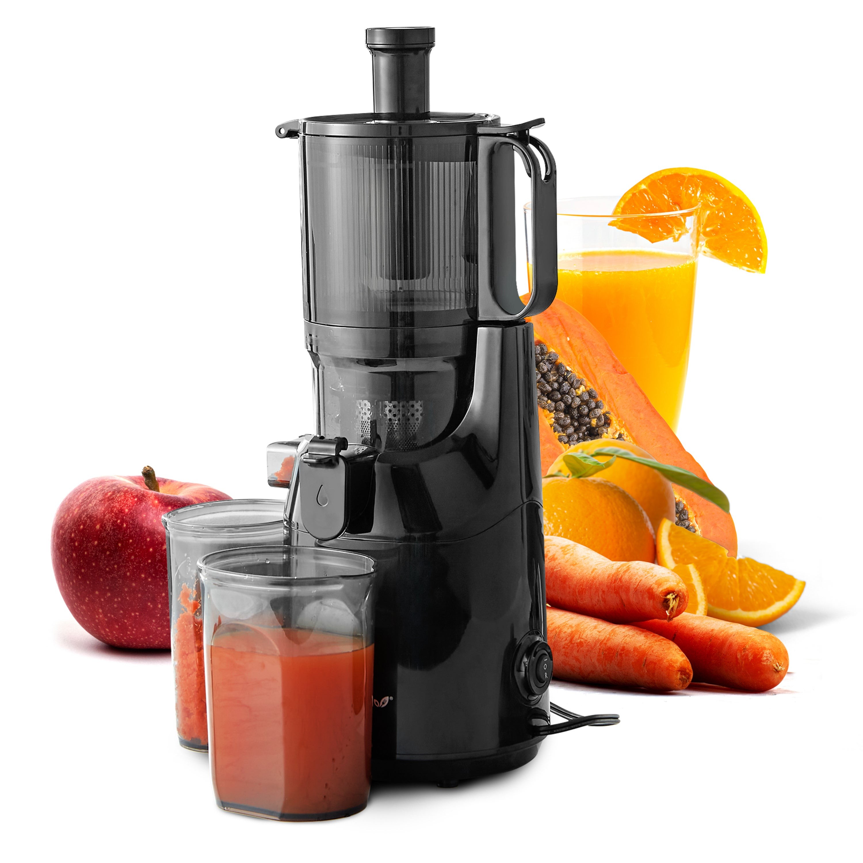 Big Mouth Whole Fruit Masticating Slow Juicer