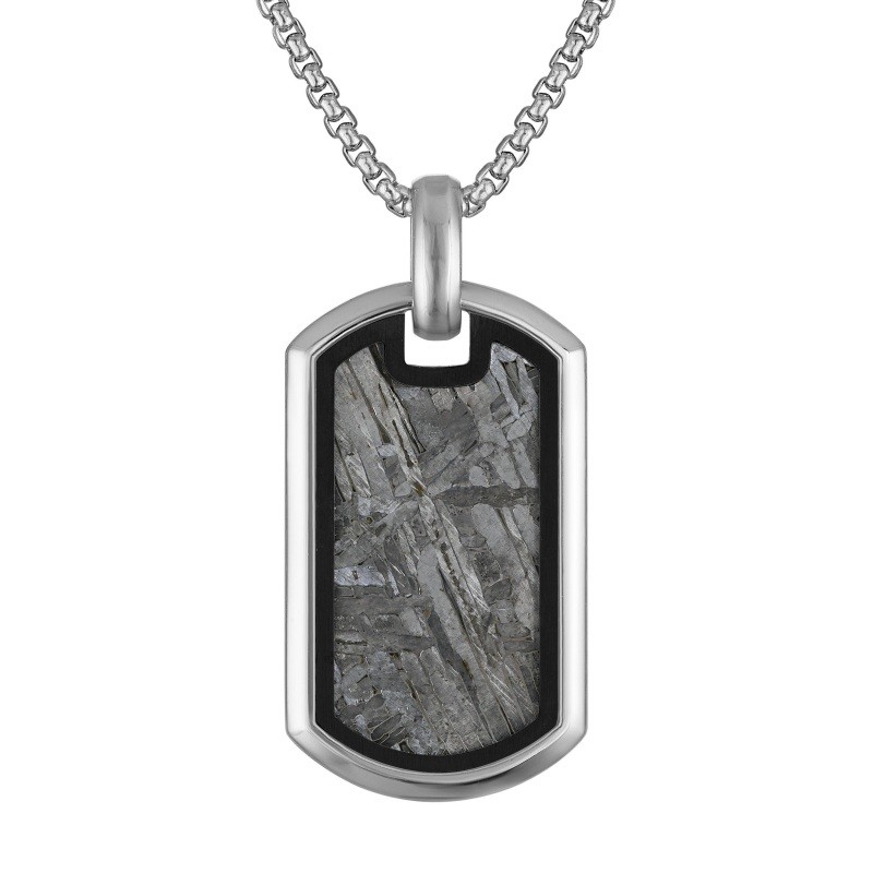 Stainless Steel &  Meteroite dog tag pendant