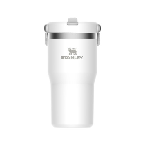 Stanley The IceFlow Flip Straw Tumbler 20 oz, Frost Frost