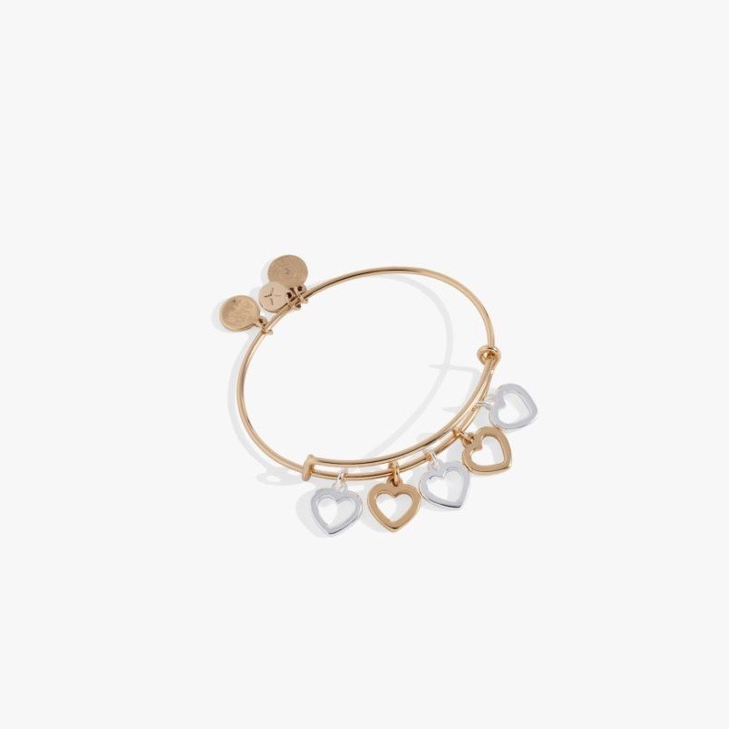 Hearts Multi-Charm Bangle - Two Tone