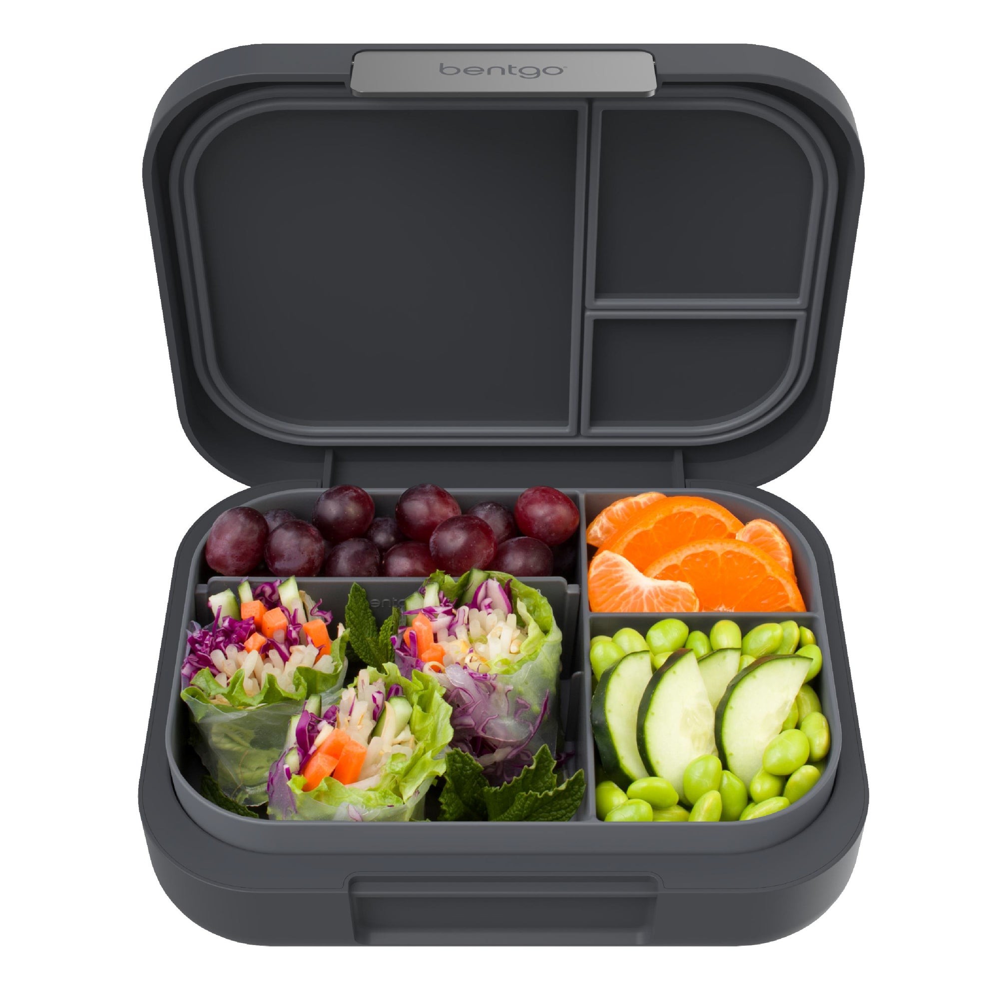 Modern Adult Leakproof Lunch Box Dark Gray