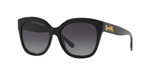 Coach Women's Polarized HC8264 Sunglasses
